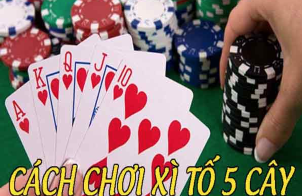 Xì Tố 5 cây là gì? Khám phá kỹ thuật chơi bất bại chuẩn nhất 2024